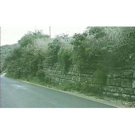 Retaining wall, The Serpentine, Bilgola