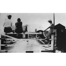 "Guests" on the gate of North Head Quarantine Station