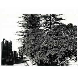 Belgrave Street, Manly
