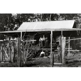 Home of Elizabeth and Philip Jenkins, Forest Road, Warriewood
