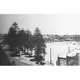 Manly Cove with Norfolk Island pines on East Esplanade