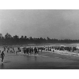 Bathers along Manly Beach, northerly view