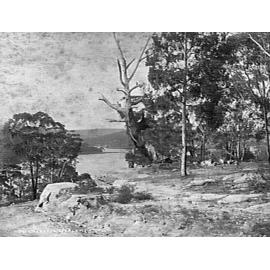 Bushland above The Spit, showing Middle Harbour and Beauty Piont