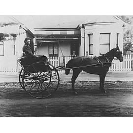 Doctor driving horse-drawn carriage, Manly