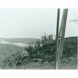 Crozier Road tip, Belrose