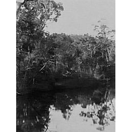 Deep Creek, Narrabeen