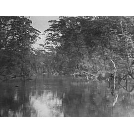 Deep Creek, Narrabeen