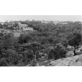 View from Doulton Avenue, Beacon Hill