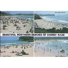 Views of Manly, Narrabeen, Dee Why and Avalon beaches