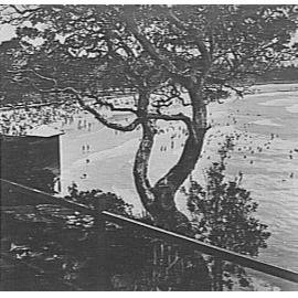 View of the southern end of Manly Beach from Marine Parade