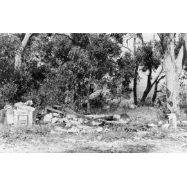 Rubbish dumping, Ingleside