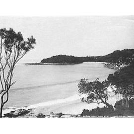 View across Fairy Bower to Shelly Beach