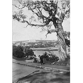 View across West Esplanade to Manly Wharf and Eastern Hill