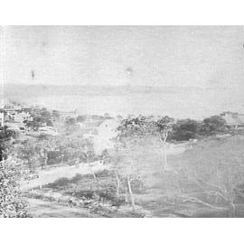 Houses and streets in Manly