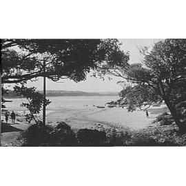 Shelly Beach