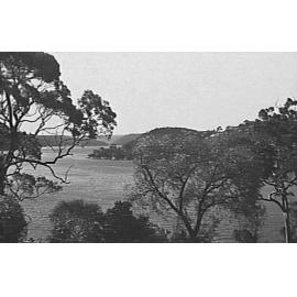Middle Harbour