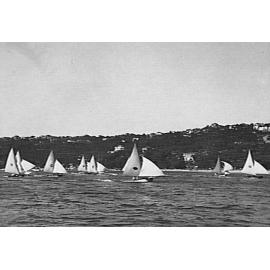 Yachts on Middle Harbour