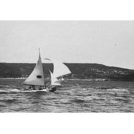Yachts on Middle Harbour