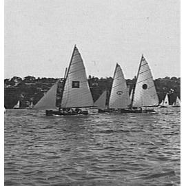 Yachts on Middle Harbour