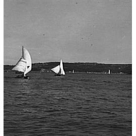 Yachts on Middle Harbour