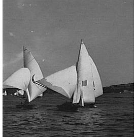 Yachts on Middle Harbour