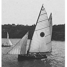 Yachts on Middle Harbour