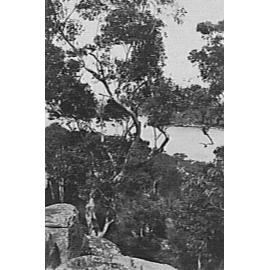 Middle Harbour