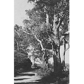Promenade, Fairy Bower