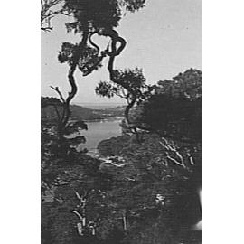 Middle Harbour