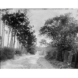 Dirt track near Corrie Road, North Manly, and wood paling fences