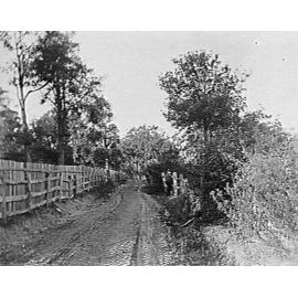 Dirt track and fences near Corrie Road, North Manly