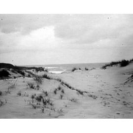 Sand dunes at Freshwater Beach