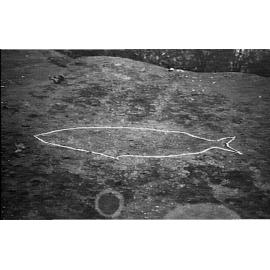 Aboriginal carving at Collins Flat, 1933
