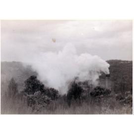Smoke from the Balgowlah Incinerator, 1948