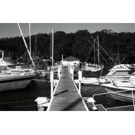 Davis's Marina, North Harbour