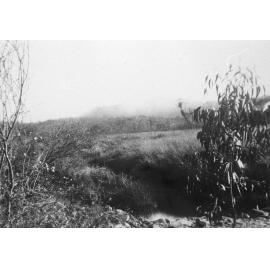Morning mists over Salvation Creek, 1937
