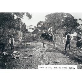 Sydney Road above Manly Oval