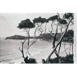 Shelly Beach and Fairy Bower