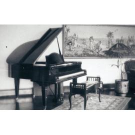 Hotel Manly, the solarium