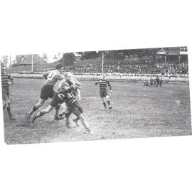 Manly Rugby Union Club playing on Manly Oval