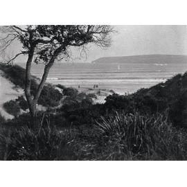 View across Freshwater Beach to North Head