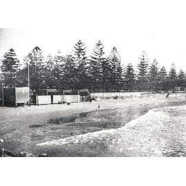 Manly Beach, showing the dressing sheds and Norfolk Island Pines
