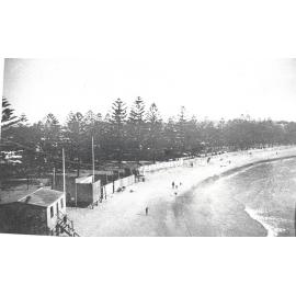 Manly Beach, showing dressing sheds and Norfolk Island pines