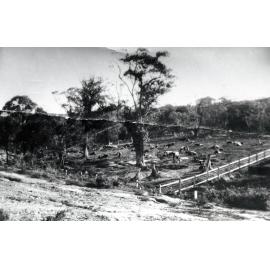 Brimbecom's Dairy, Balgowlah
