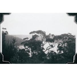 Middle Harbour from Castle Circuit, Seaforth