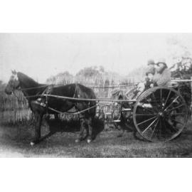 Harwood family on a horse-drawn vehicle, Balgowlah