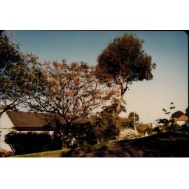 Elimatta Road, Mona Vale