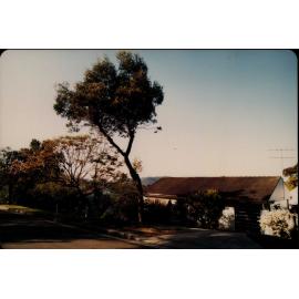 Elimatta Road, Mona Vale