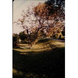 Elimatta Road, Mona Vale