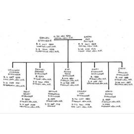 Samuel Stringer Jnr. Family Chart